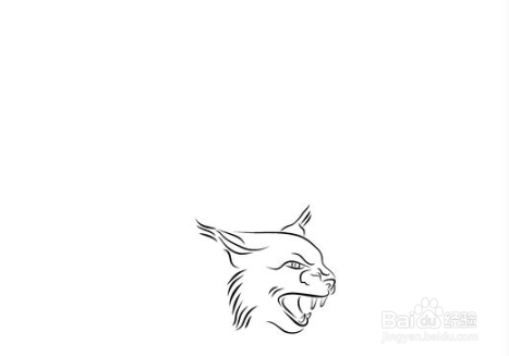 农村抓野猫的最好方法