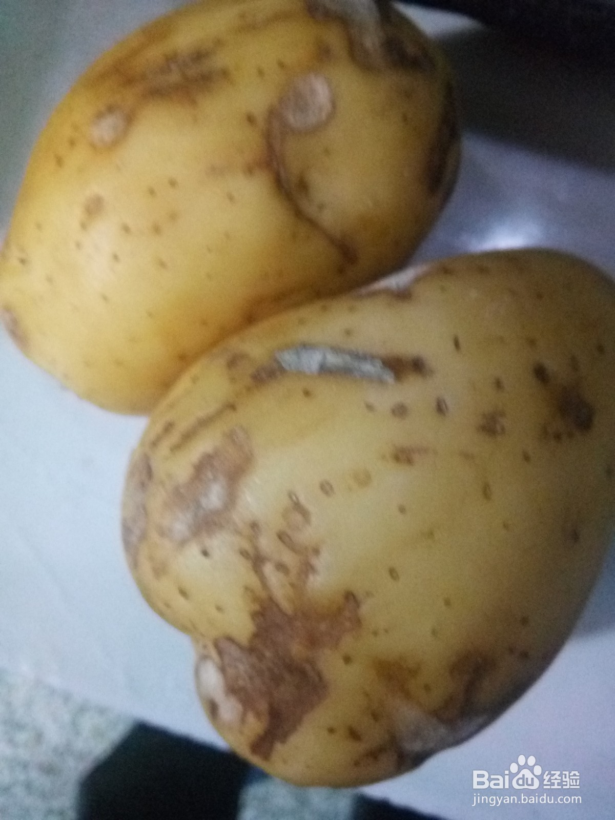 土豆豆角炖茄子