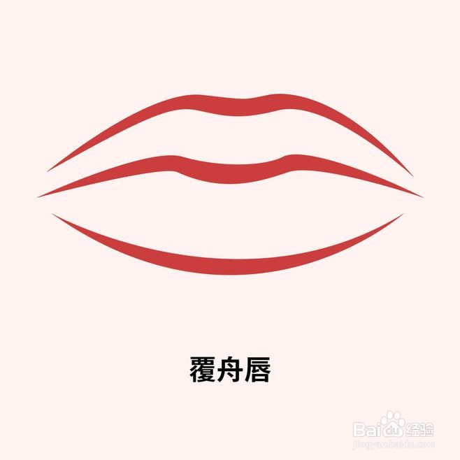 嘴唇类型图片