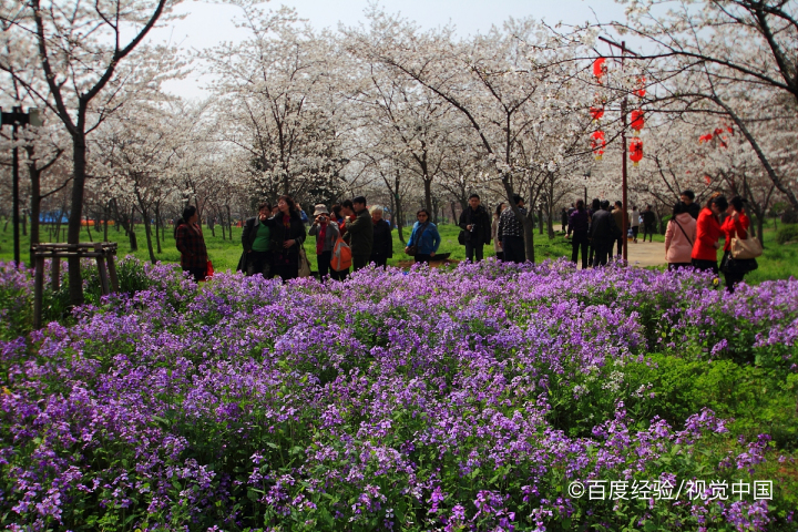 武汉东湖风景区怎么玩