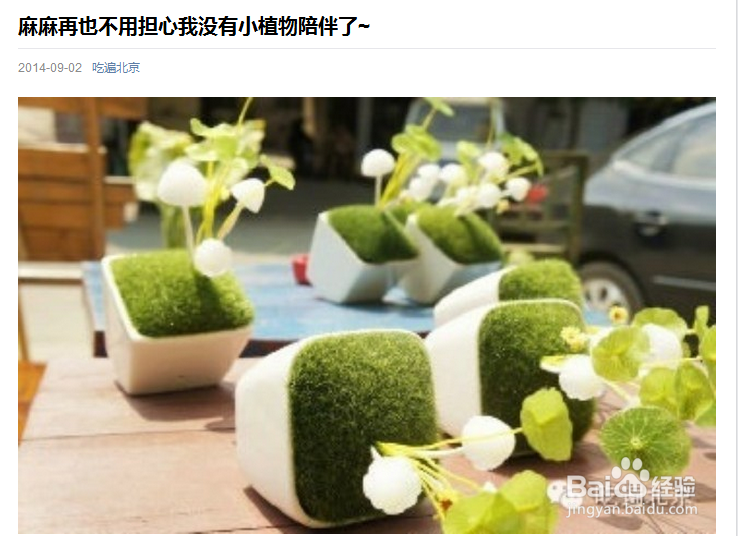 十类软文写作技巧（一）：[1]专题软文