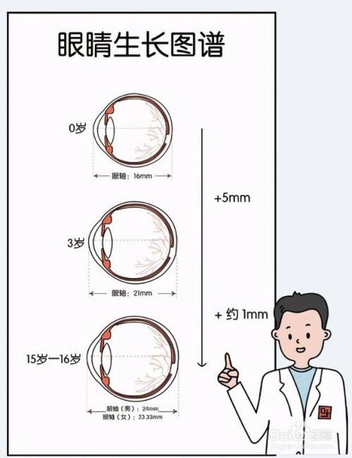 从出生开始人的眼睛是如何生长发育的