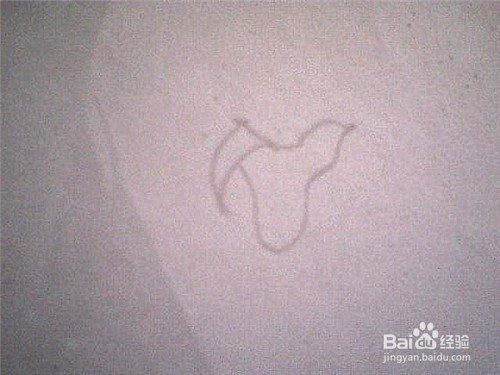 简笔画 百合花怎样画