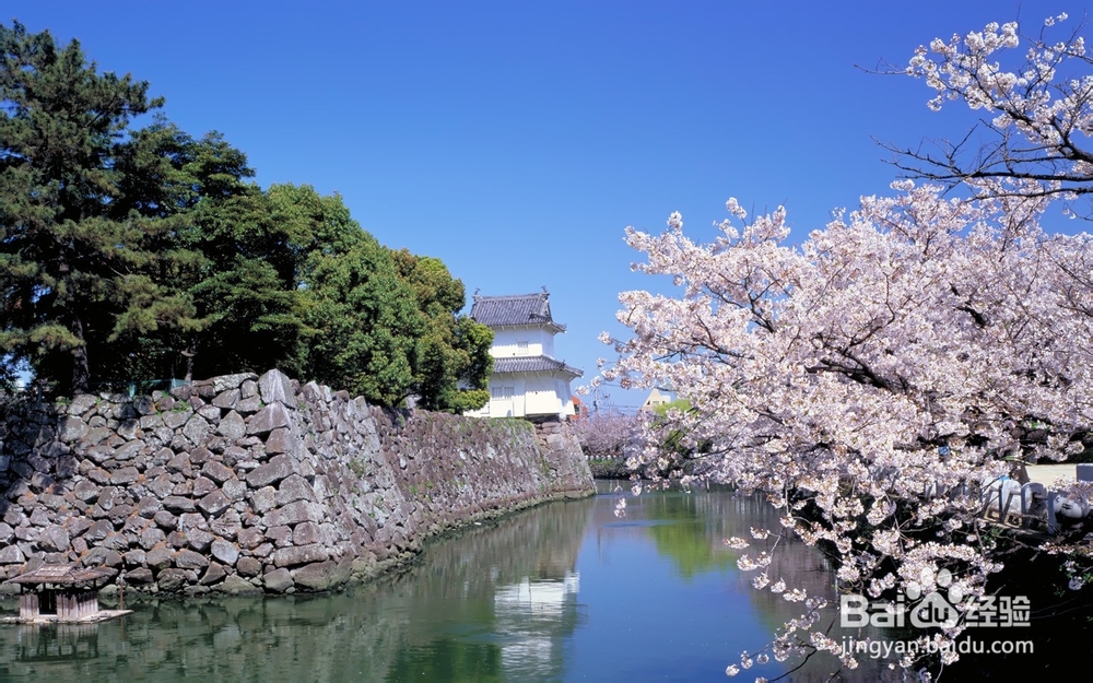 日本留学申请研究生优劣势分析