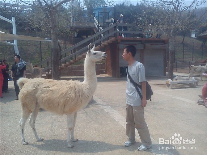 永远在路上：[5]大连