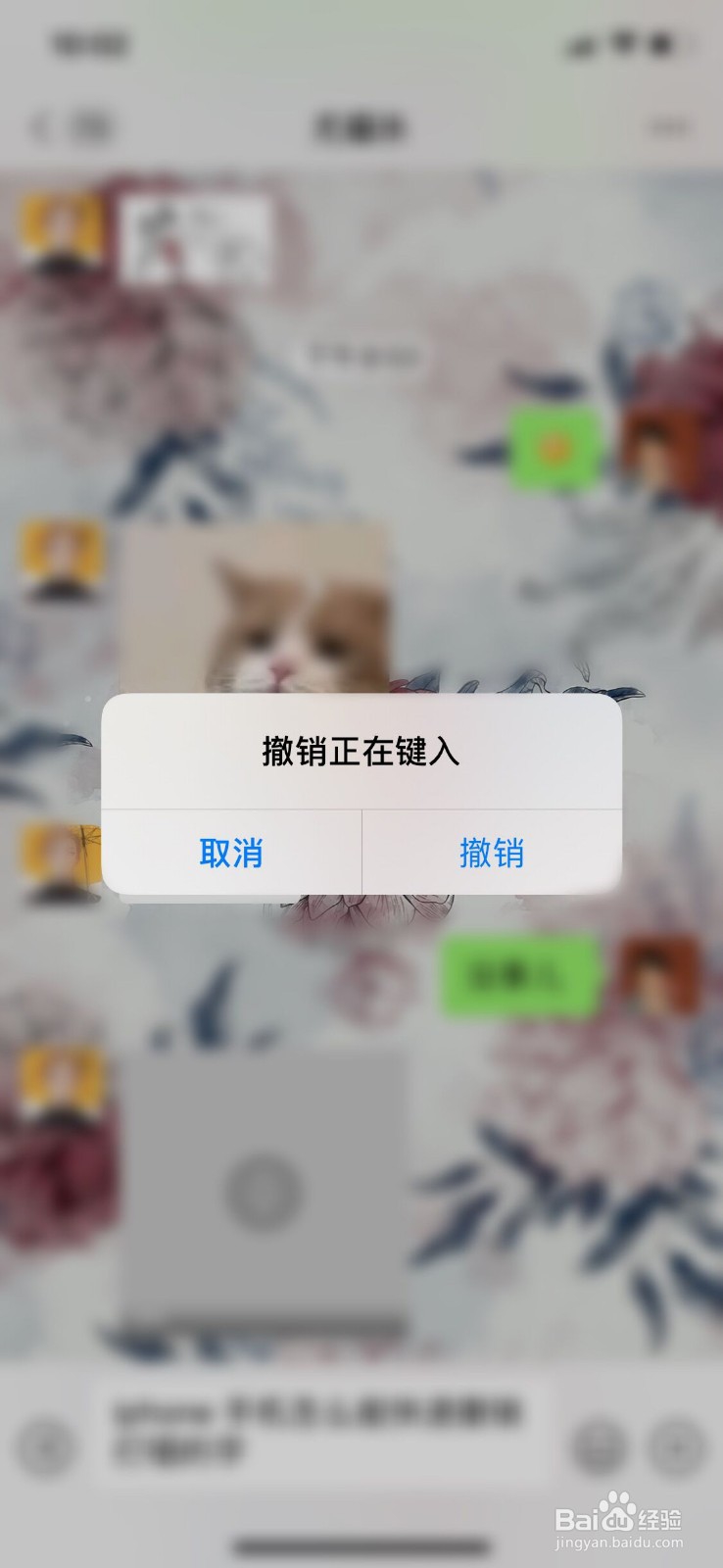 iPhone手机怎么能快速撤销打错的字？