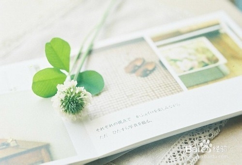 治疗湿疹的中药哪个效果好