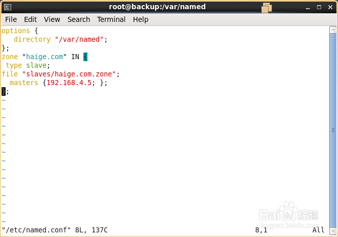 linux中构建主/从DNS服务器的图文详解