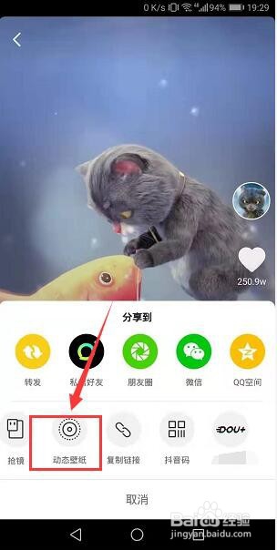 抖音下载的动态壁纸保存在哪里