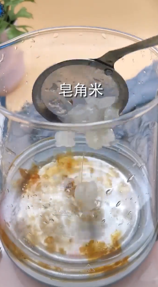 桃胶牛奶怎么做?
