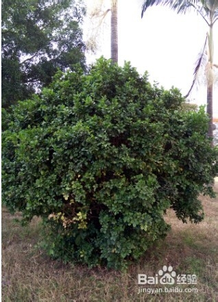 孩子不吃饭的几个小妙招