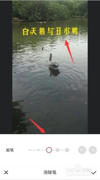 如何使用手机为图片去除水印