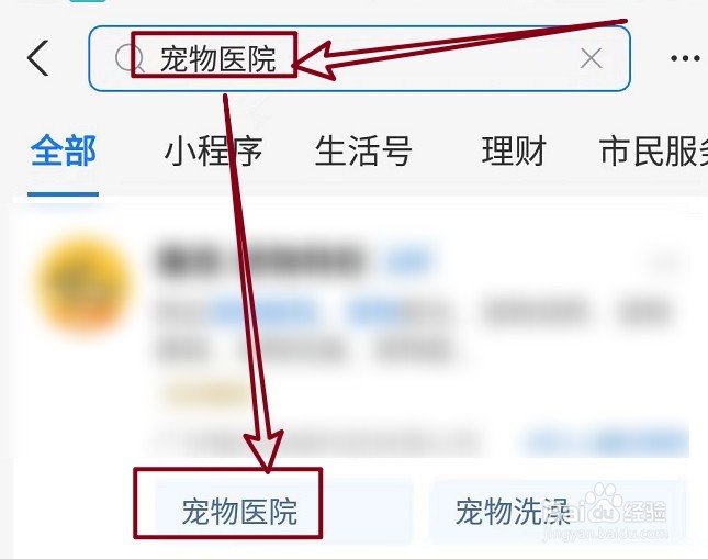 猫咪嘴里有腥臭味怎么办