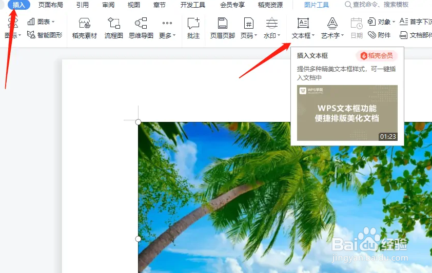 WPS文档怎么在插入的图片上输入文字