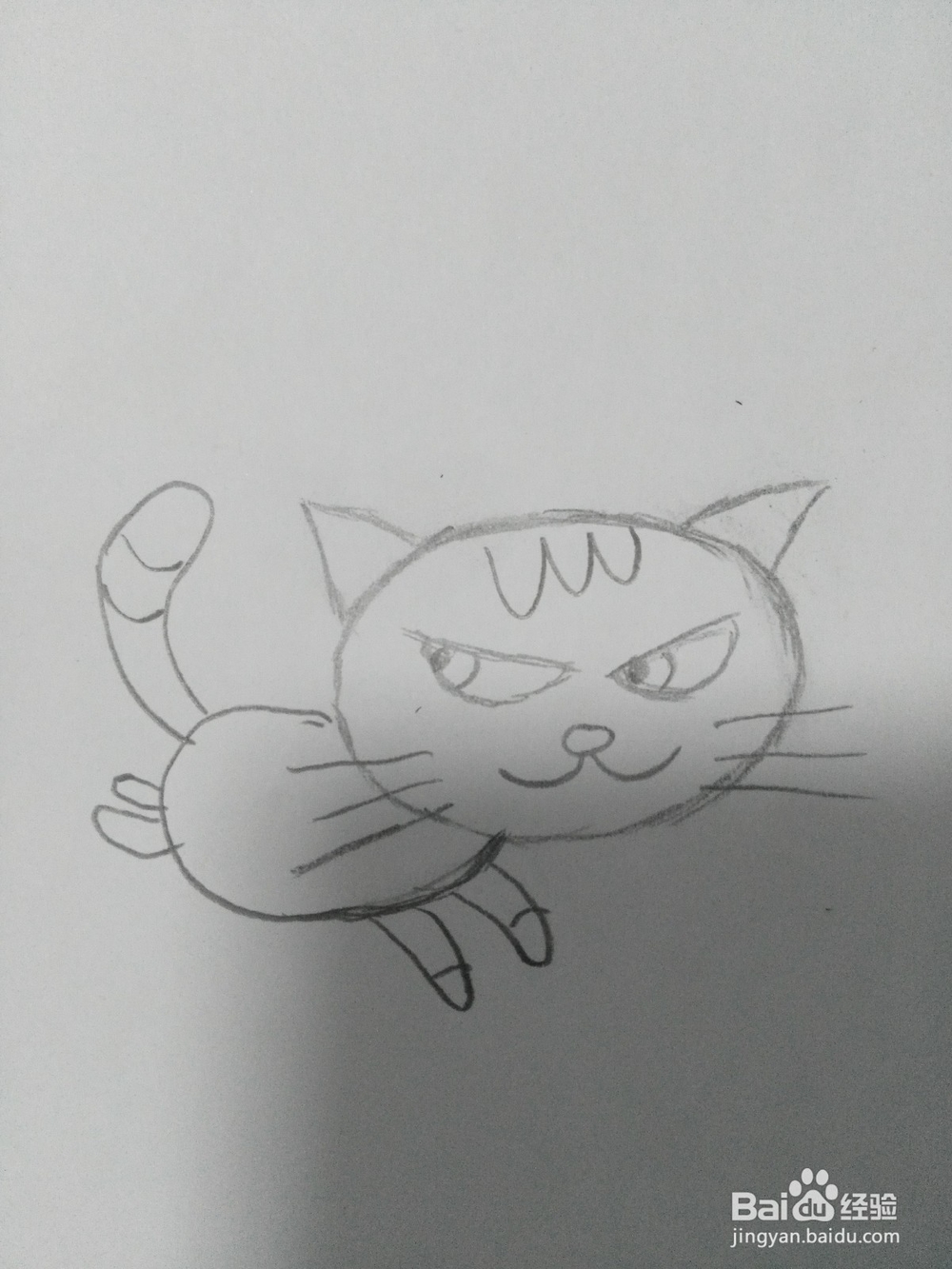简笔画——可爱小猫咪的画法