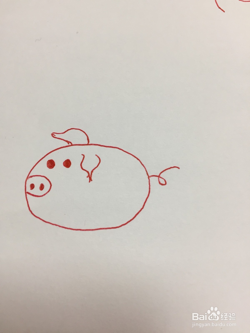 怎么画猪简单好学