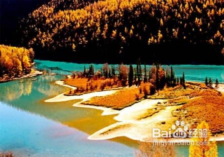 金秋9月新疆喀纳斯风光摄影