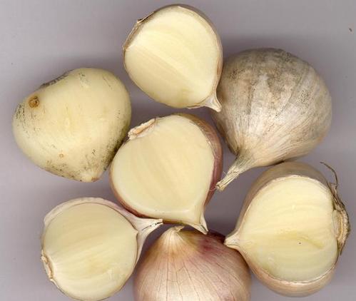 夏季防蚊驱蚊灭蚊止痒方法大全