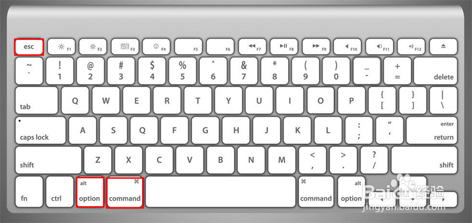 苹果电脑macbook怎样强制关闭软件
