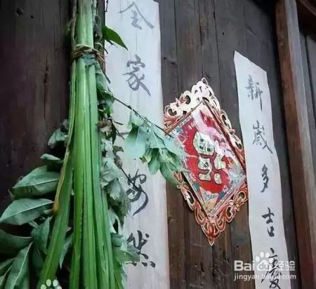端午节挂在家门口的菖蒲能吃么