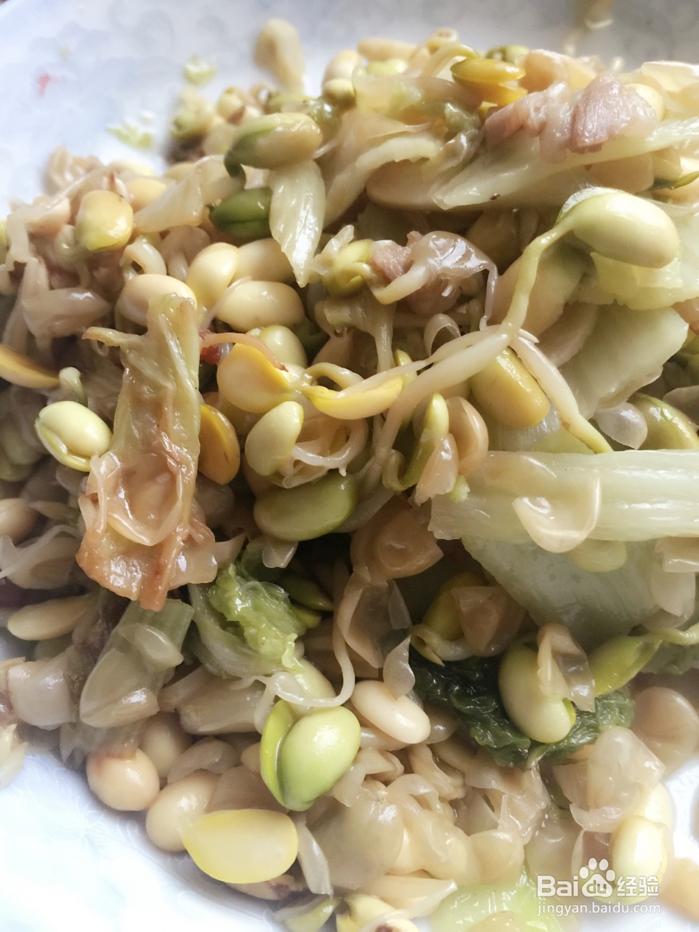 怎样生黄豆芽？