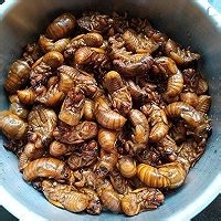 油炸金蝉的做法