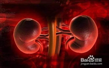 隐藏在血与尿中的“报警器”，当警报响起，当心肾脏要出大问题！