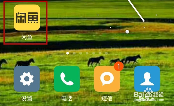 闲鱼上的