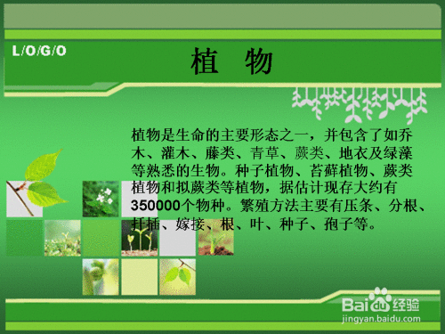 植物的分类介绍 百度经验