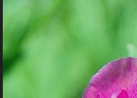 健康常识,你知道多少?2