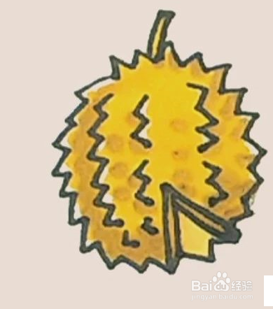 教你画榴莲的简笔画