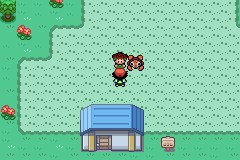 口袋妖怪圣灰攻略图片5