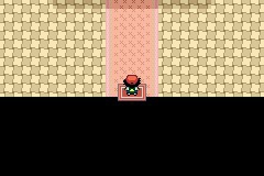 口袋妖怪圣灰攻略图片5