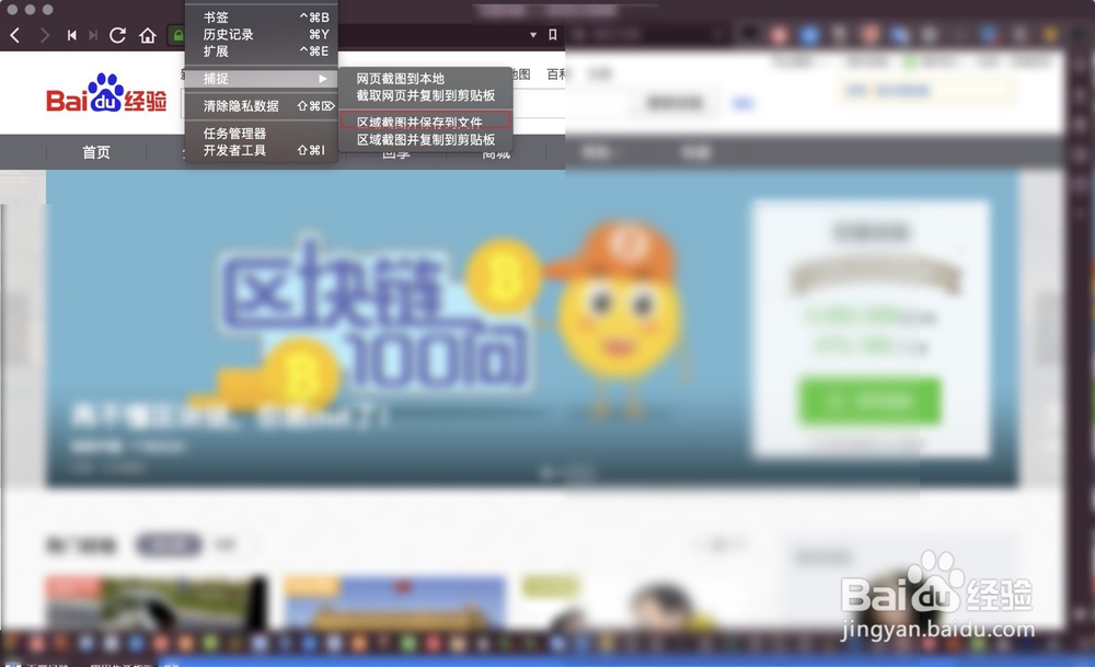 vivaldi浏览器怎样捕捉网页截图区域截图