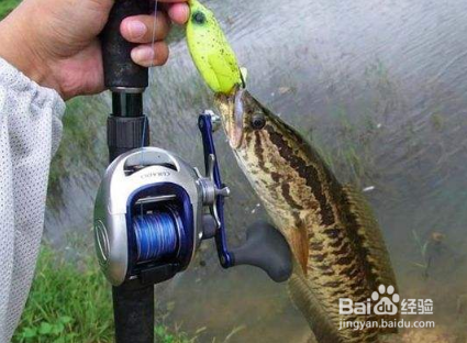 钓鱼必备知识《抛竿篇》