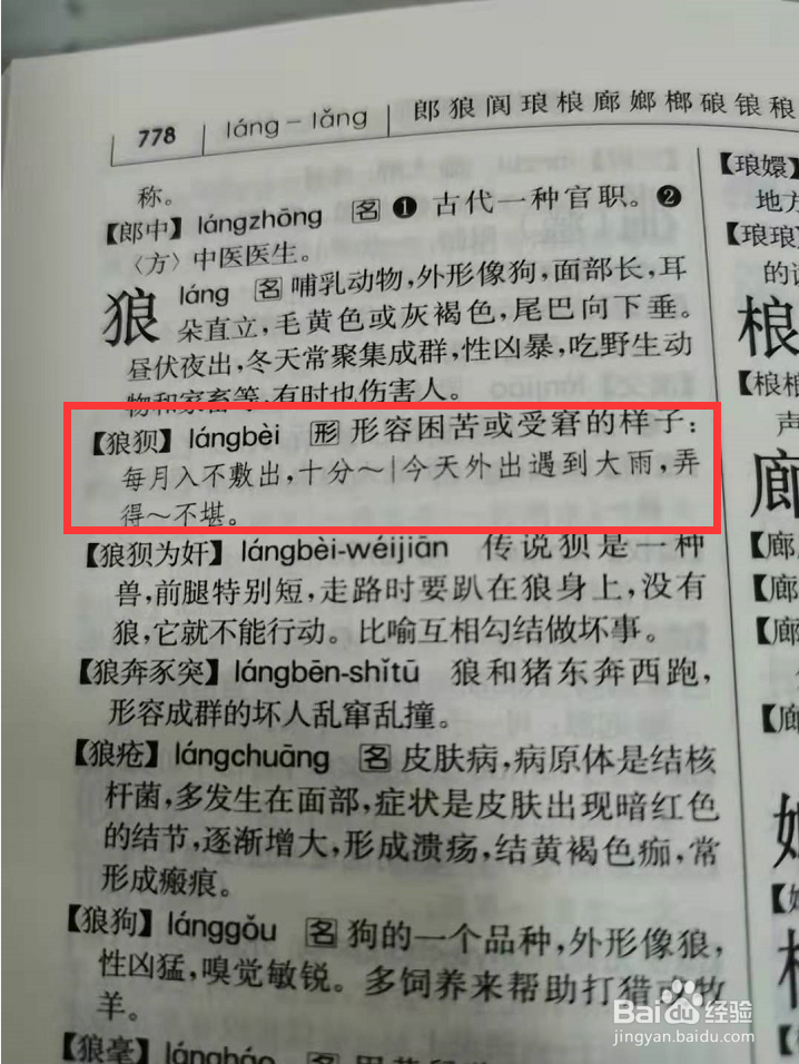 狼字组词图片