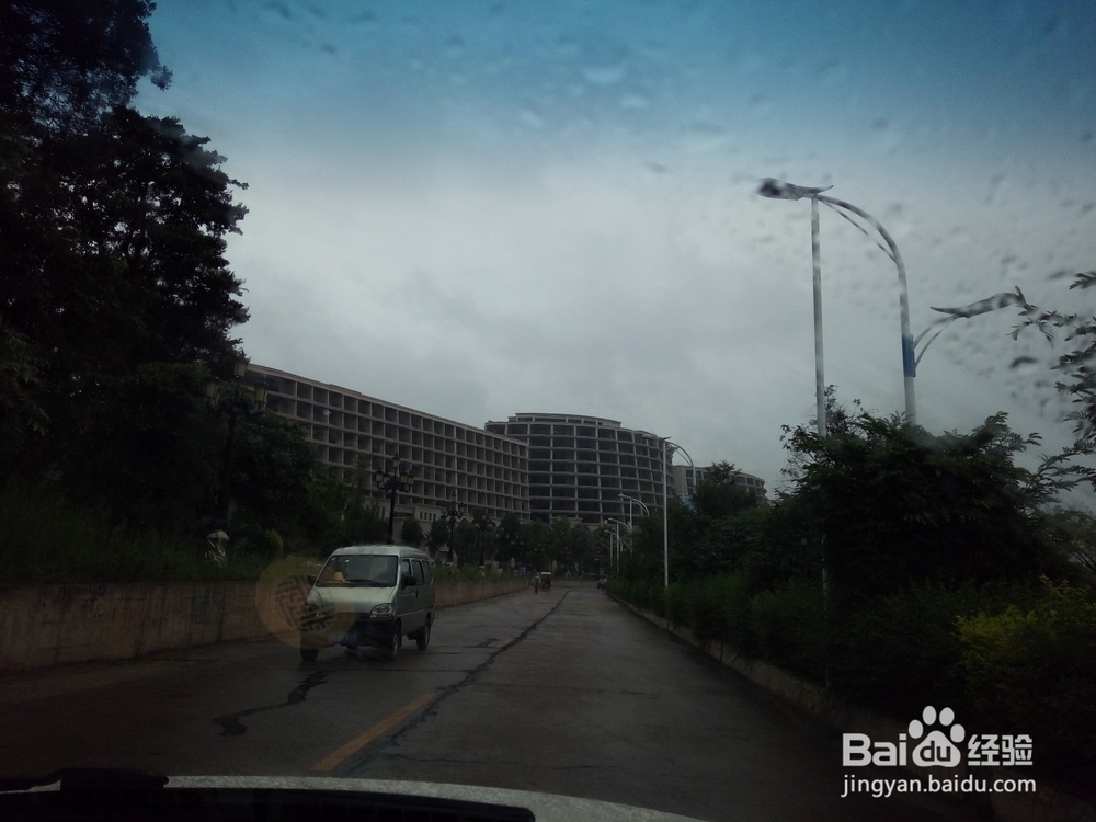 云南最美玉溪抚仙湖之樱花谷湿地公园情侣约会旅