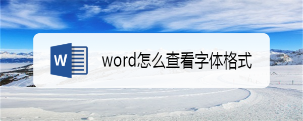 word怎么查看字体格式
