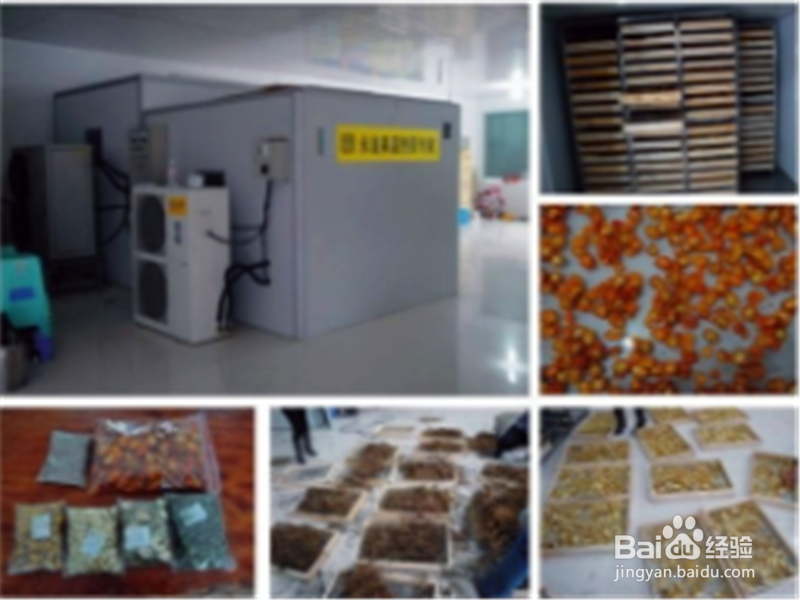 中药材的烘干工艺和中药材烘干机的选择