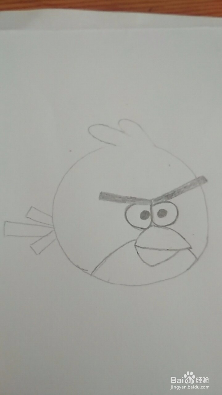 多妈简笔画愤怒的小鸟