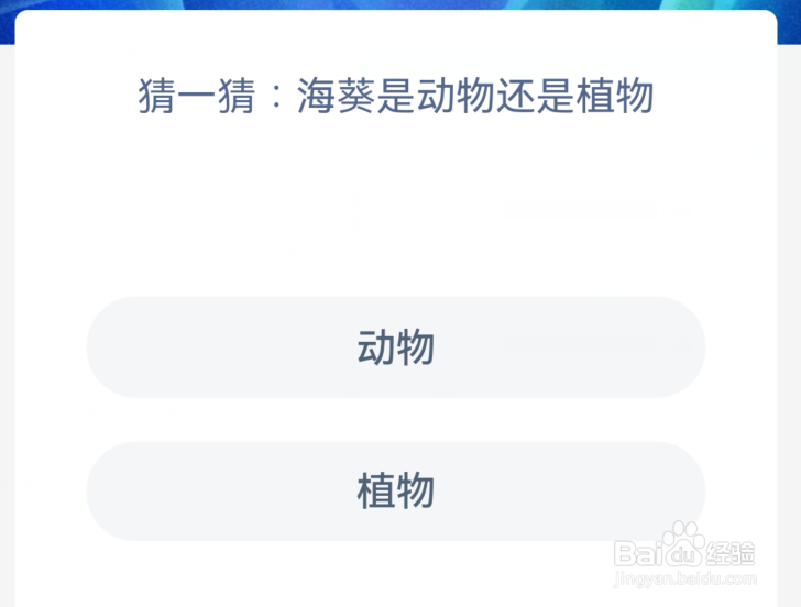 神奇海洋:猜一猜海葵是动物还是植物