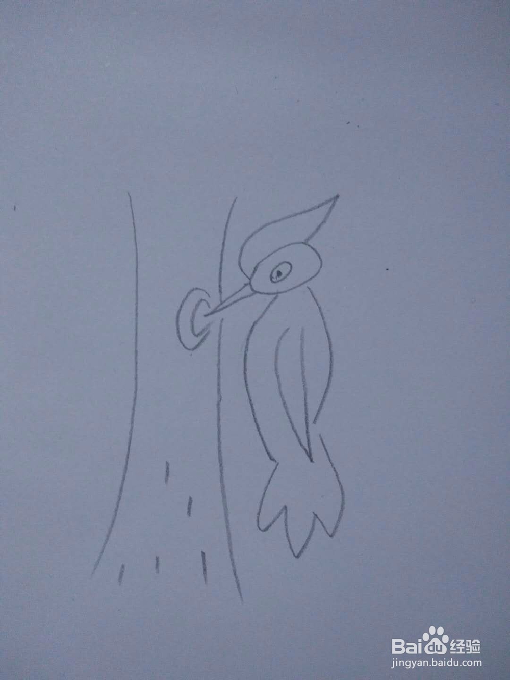 简笔画-如何画啄木鸟的简笔画?
