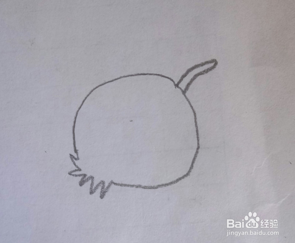 简笔画石榴的画法2