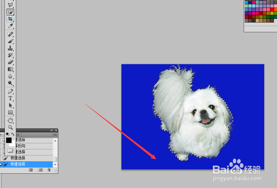 ps如何利用快速选择工具抠图