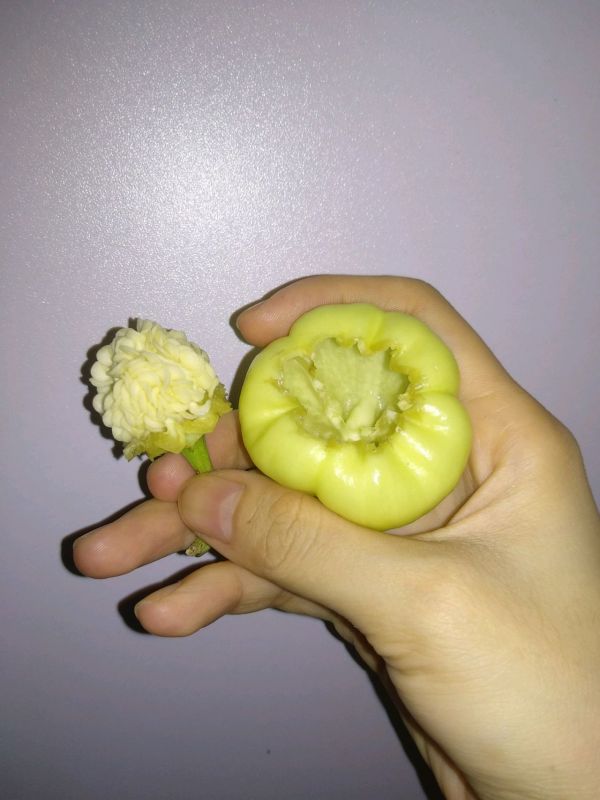 白玉灯笼椒酿肉