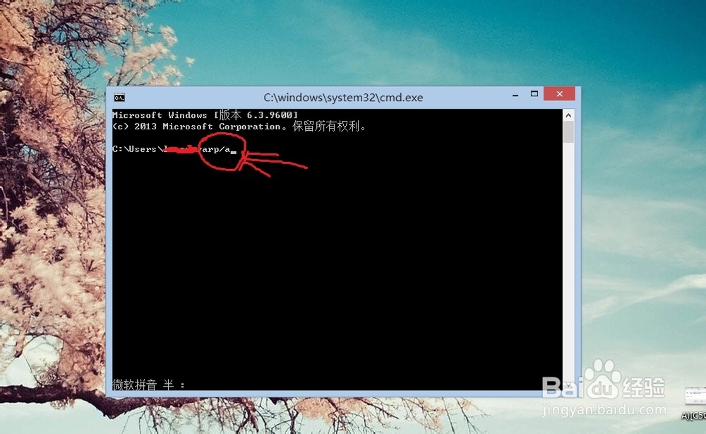 通过CMD命令查看电脑IP地址