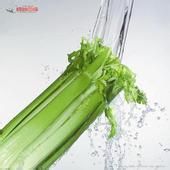 脸上长痘痘怎么去