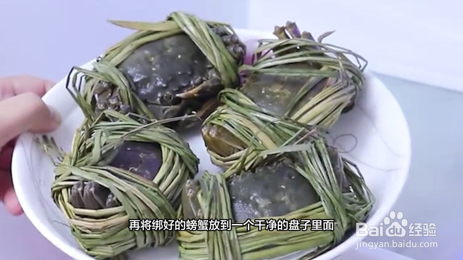 大闸蟹如何保存不会死