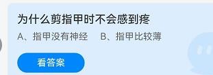 为什么剪指甲时不会感到疼?蚂蚁庄园8.30答案