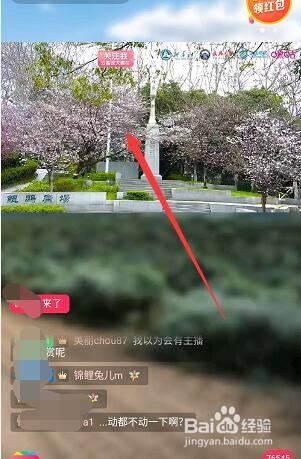 淘宝怎么观看武大樱花直播